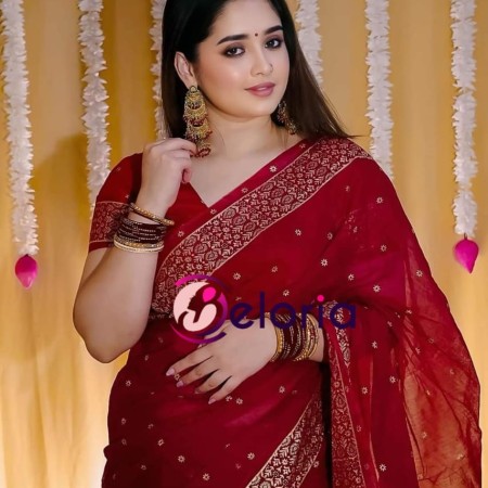 Halfsilk Sharee with Blouse HS 4310