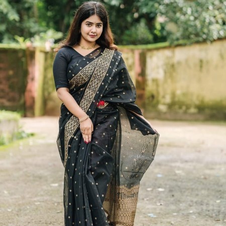 Halfsilk Sharee with Blouse HS 4311