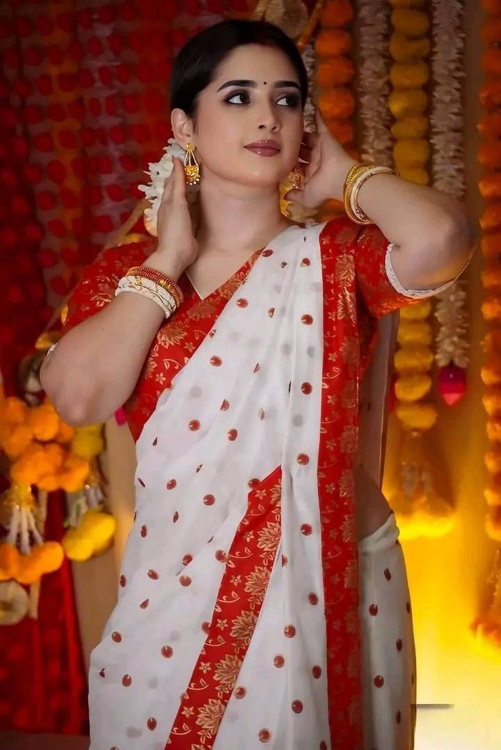 Halfsilk Sharee with Blouse HS 4389