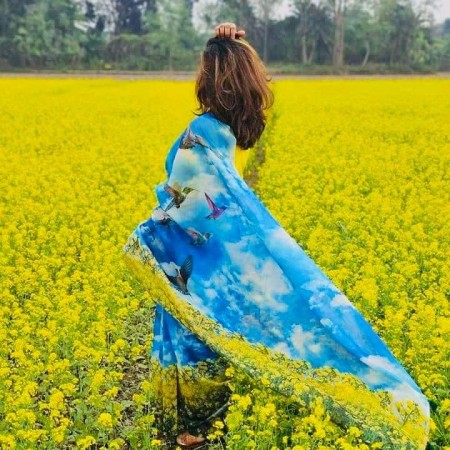 Digital print saree Code DP-6012